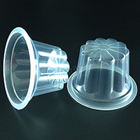 D67-100g菊花(huā)